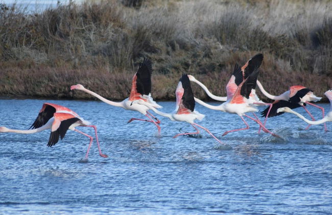 Residenza Al Castello - Photo 34