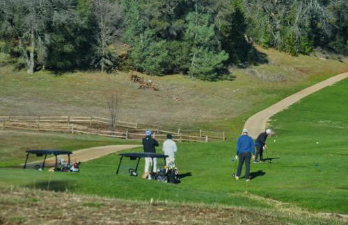 Cozy Lake View 4Bd 2,5Br Retreat in 5 Acres, Hot Tub and more - Foto 32