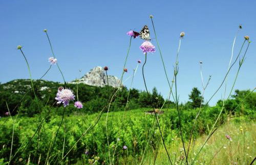 Quiet Country Side Cottage with Private Garden & WiFi near Nature Park Velebit - Foto 6