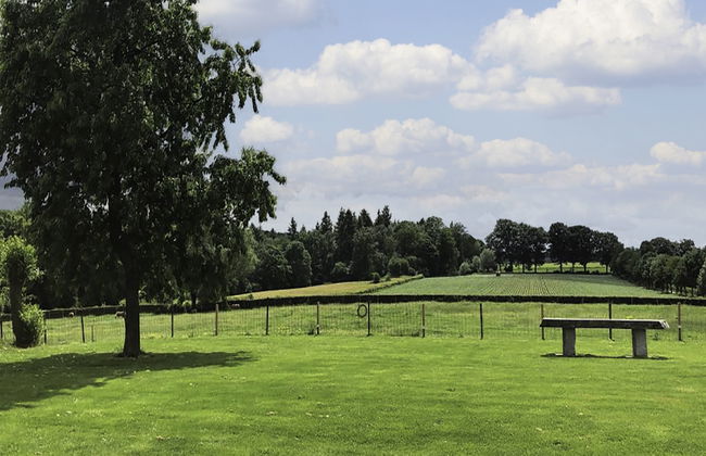 3 bedroom House in Gulpen with garden and terrace - Photo 21