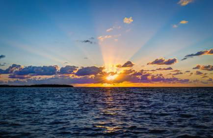 335 Mariners Club - Foto 48