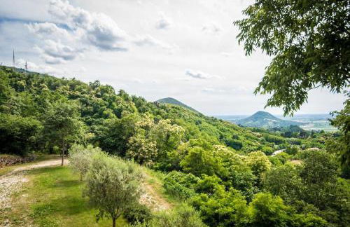 Ca' Salva Rustic Charme - Foto 44