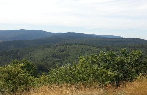 Haus Saskia - Foto 7