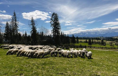 Panorama Chalet - Foto 57