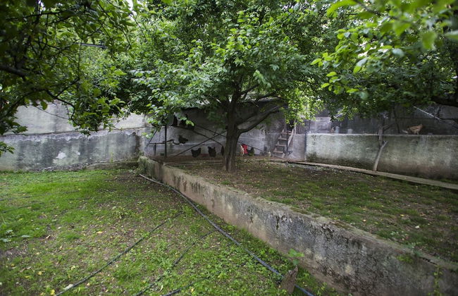 Yaprak Dag Evi - Foto 23