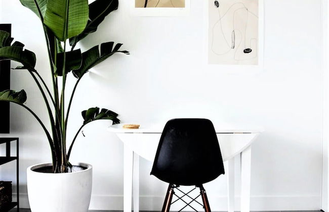 Cayman Luxury Rentals at The Grove - Photo 55