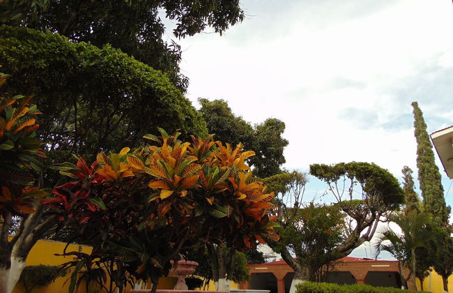 La Quinta de Alito - Foto 30