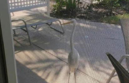 The Beach on Longboat Key - Foto 48