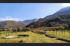 Sweet Home Sofia - Foto 27