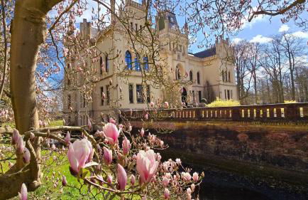 Ferienwohnung Wiesenzauber - Ruhige Lage am Stadtrand von Leer & Nähe Papenburg - Photo 28