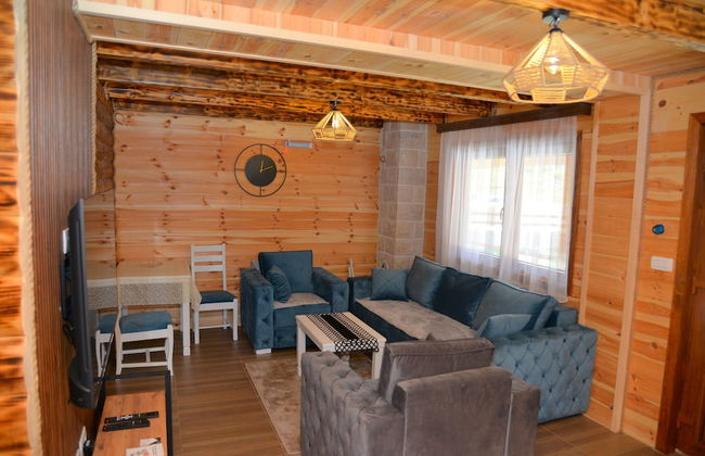 Zagrad Homes in Zabljak - Foto 77