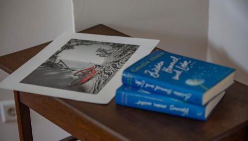 Vineyards Pommern - schönes Ferienhaus Nähe Cochem Mosel - Foto 4