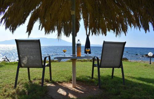 House just on the beach -included 2 canoe and 2 bicycles - Foto 37