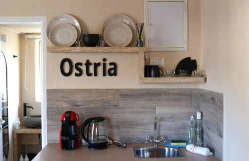 Maistrali Studio Ostria - Photo 9