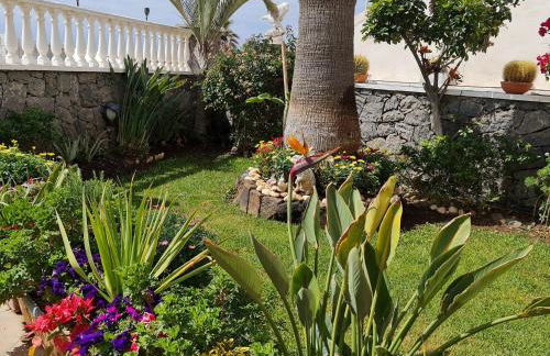 Apartamentos Los Delfines - Foto 72