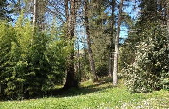 Casale La Pineta - Foto 29