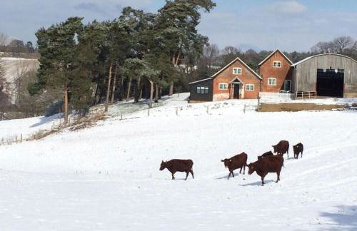 Lodge Farm - Foto 67