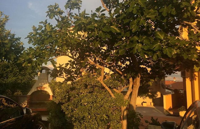 Damir - Free Parking & BBQ - A3 - Foto 16