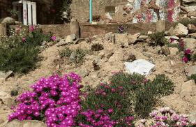 El Retiro de Isabel - Foto 30