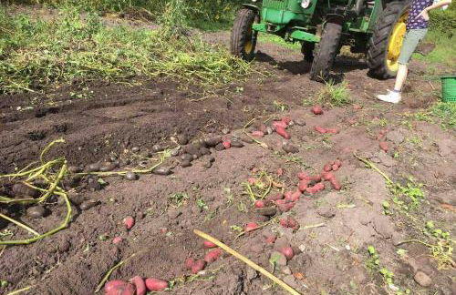 Gemütliches Nest für zwei Personen zum Ausspannen - Foto 25