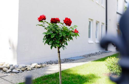 Haus am Mühlenweg - Appartement 2 Haus I - sonniges und modernes Ferienappartement - Foto 12