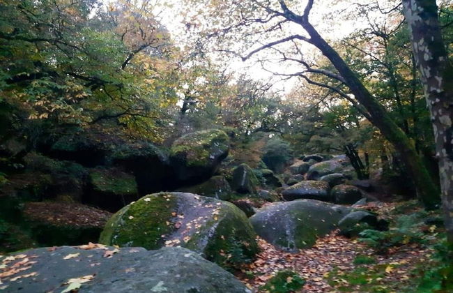 Cosy Holiday Home in Huelgoat With Terrace - Foto 29