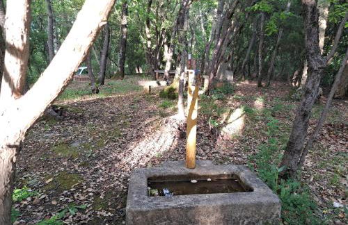 casa con bosco e vista mare - Foto 12