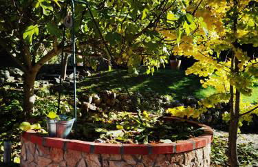 Quinta do Vale Encantado "the Valley" - Santarém - Portugal - Foto 56