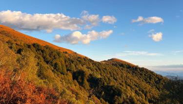 Lago di Lugano - Casa Cecilia - Foto 4