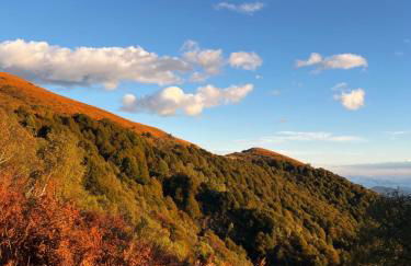 Lago di Lugano - Casa Cecilia - Foto 4