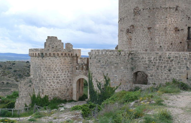 La Albacara - Foto 40