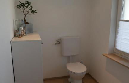 Großer Elefant - Foto 24