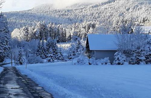 Chalet Waldstadl oder Andrea's Woidhaisl - Foto 33