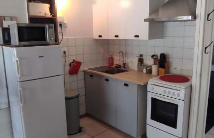 Les châlets de Renoir 1 - Foto 4