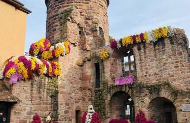 Ferienwohnung, Fischerbach im Kinzigtal - Foto 23