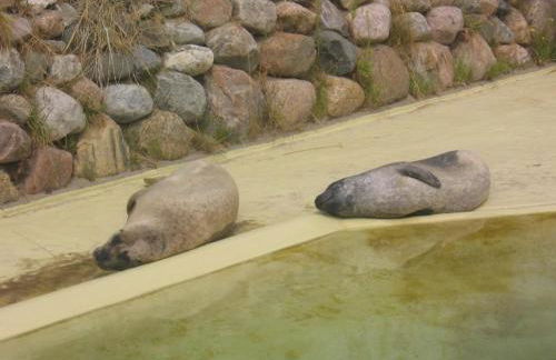 Friesenhof - Foto 28