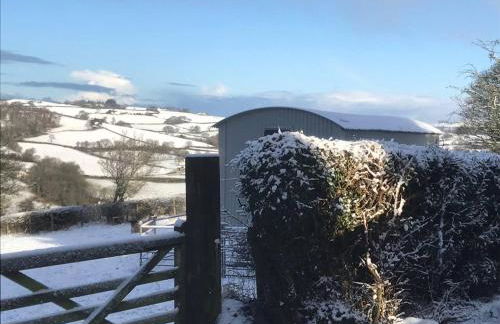 The Shepherds Hut at Hafoty Boeth - Photo 56