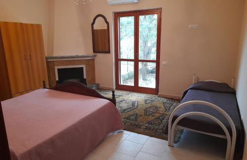 12 Nocembre - Foto 32