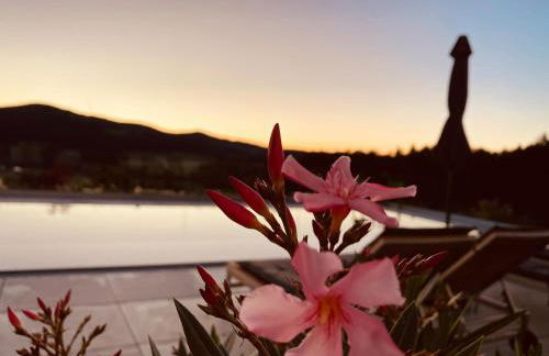 Haus Vogl - Fewo mit priv. Sauna und traumhaften Salzwasser-Pool - Foto 15