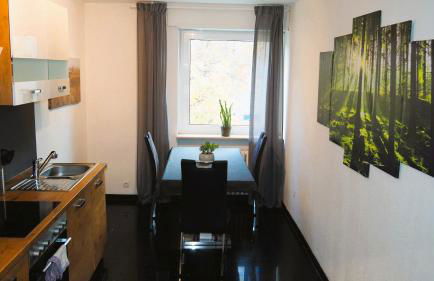 Möblierte Wohnung Nähe BASF Ludwigshafen/Mannheim mit Privatparkplatz - Foto 12