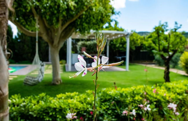 Villa Dimokratia - Foto 46