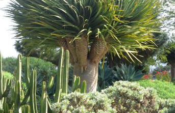 Casa Rural El Adelantado - Foto 5