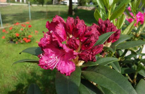 Gianna Apartment Labin - Foto 33