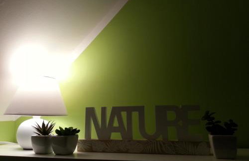 Cztery Pory Warmii Pluski pokoje do wynajęcia - Foto 29