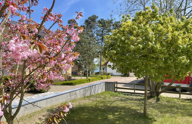 Müritz Ferienpark Röbel - Foto 23