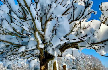 Ferienwohnung Ober - Foto 9