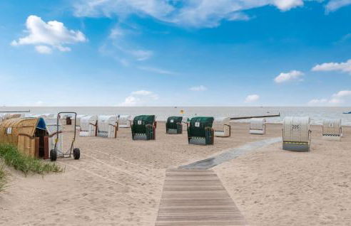 Seepferdchen - Foto 29