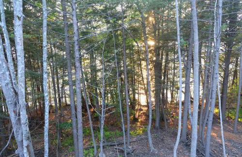 Cedar Shores Lakehouse - Foto 16