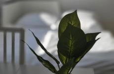 Central and Trade Fair near Flat - Foto 12