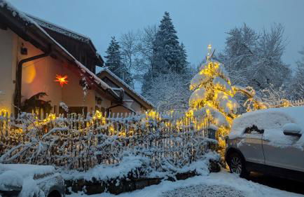 Gemütliche Waldrandlage in Badenweiler Sehringen Ferienwohnung - Foto 37
